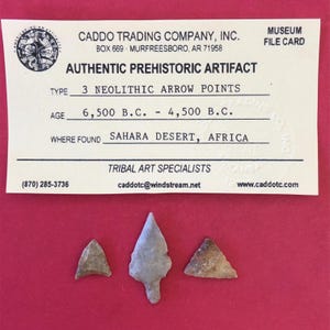 7031, Lot of 3, Neolithic Points, Arrow, Africa, Authentic, Arrowhead, Artifact, Prehistoric, Relic, Ancient, Sahara Desert,  FREE SHIP