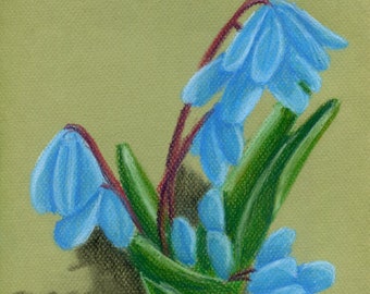 Soft pastel blue spring flower drawing, Botanical artwork, Siberian squill plant illustration, Scilla siberica, A4 original fine art