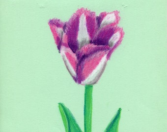 Soft pastel pink spring flower drawing, Garden tulip plant illustration, Original A4 fine art, Floral wall hanging, Small botanical artwork