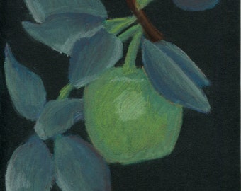 Soft pastel fruit drawing, Green apple illustration, Botanical artwork, Apple on a branch, Malus domestica, Original A4 size fine art