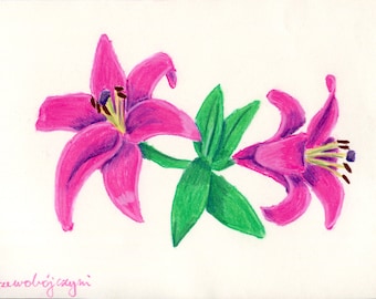Soft pastel summer flower drawing, Pink Asiatic lily drawing, Botanical artwork, Lilium auratum plant illustration, Original A4 fine art