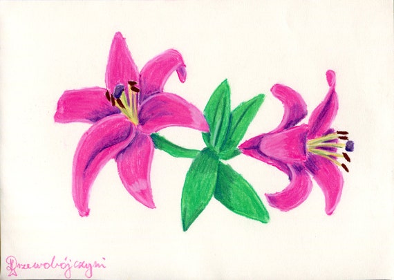 Original Fine Art Soft Pastel Paintings Are Now Available - Lily