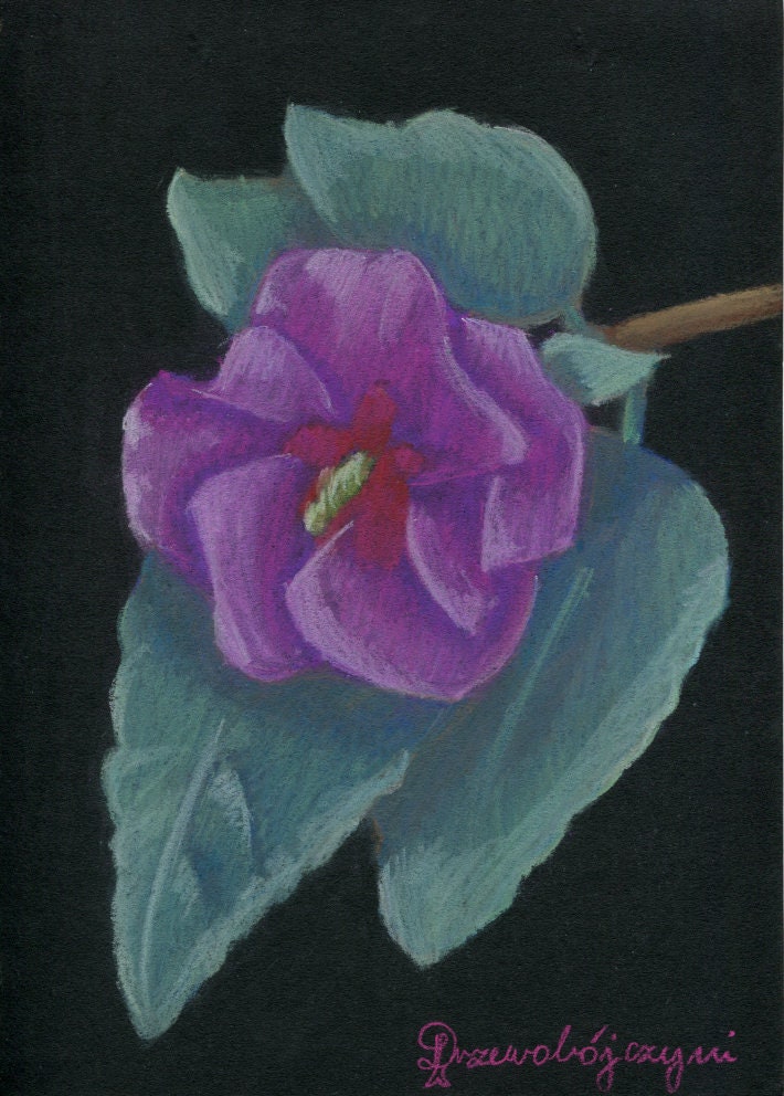 dibujo de sharon con gises faciles y bonitos dibujo de sharon