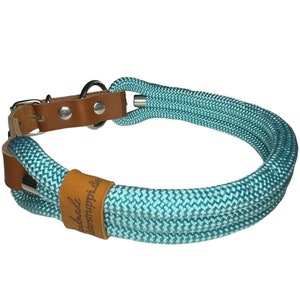 Hundehalsband, verstellbar, türkis, Leder cognac und Schnalle
