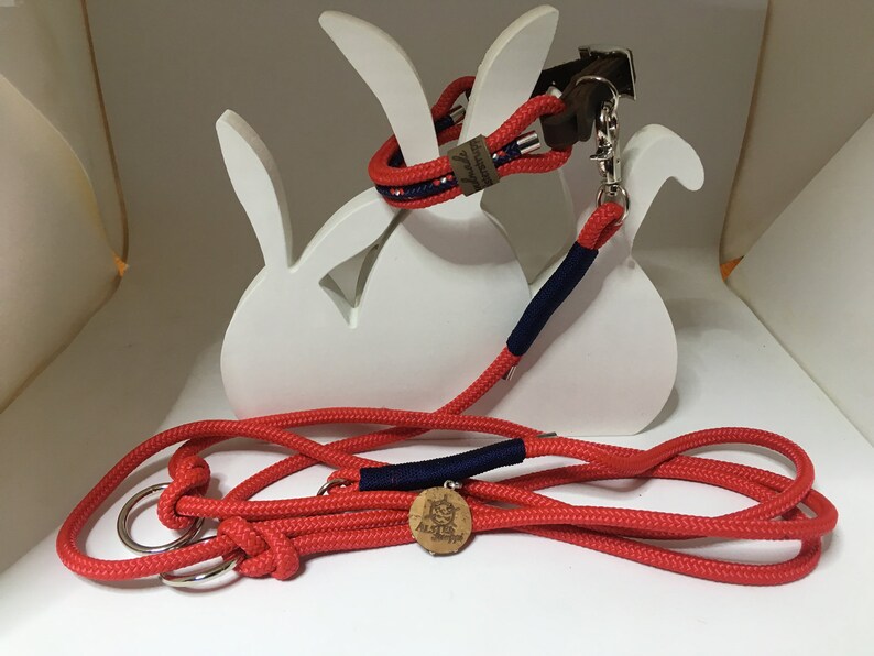 matching collars for small dogs Leash Tauleine small dogs