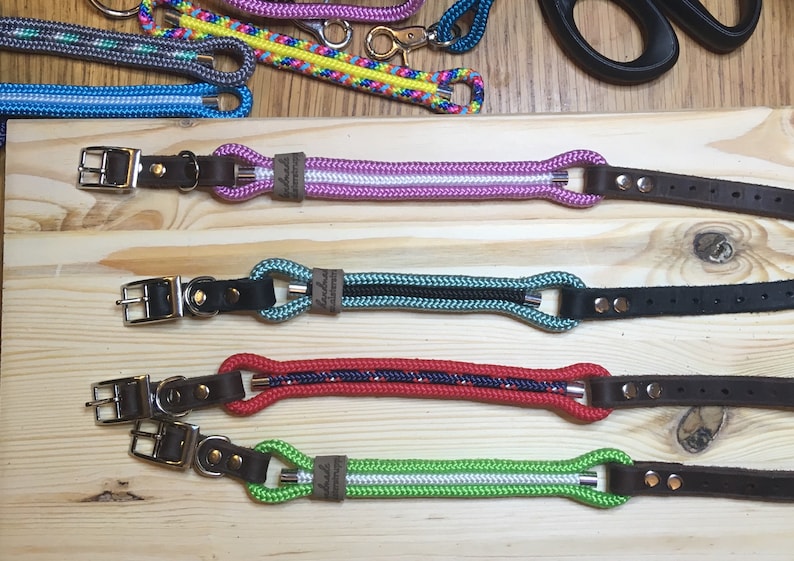 matching collars for small dogs Leash Tauleine small dogs