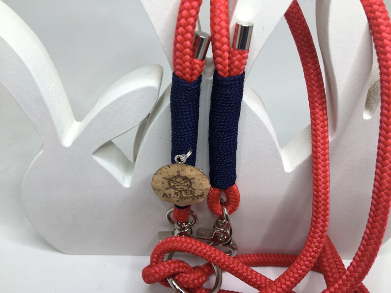 matching collars for small dogs Leash Tauleine small dogs