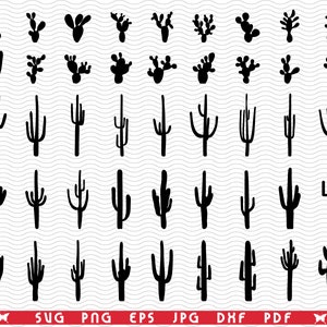 Cactus SVG, siluetas negras, clipart digital, archivos eps, jpg, diseño de cactus vectorial, descarga instantánea svg, png, dxf para Cricut