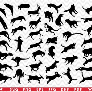 Animaux sautant SVG, silhouettes noires, clipart numérique, fichiers eps, jpg, vecteur de conception animaux, téléchargement immédiat svg, png, dxf pour Cricut