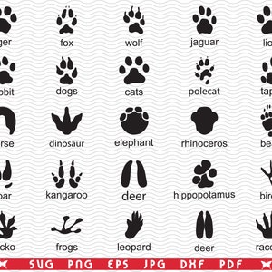 SVG, traces d'animaux sauvages, silhouettes noires, clipart numérique, fichiers eps, jpg, conception vectorielle, traces téléchargement immédiat svg, png, dxf pour Cricut