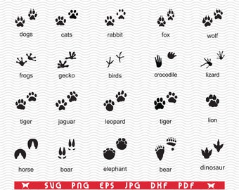 SVG Traces Wild Animals, Black silhouette, Digital clipart, Files eps, jpg, Design vector,Traces Instant download svg, png, dxf for Cricut