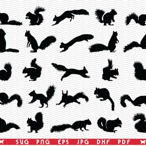 SVG Squirrels, Black Silhouettes, Digital clipart, Files eps, jpg, Squirrels Design vector, Instant download svg, png, dxf for Cricut