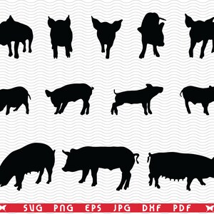 SVG Pigs Piggy Sow, Sagome nere, Clipart digitale, File eps, jpg, Vettore Pigs Piggy Design, Download istantaneo in formato SVG, PNG, DXF per Cricut