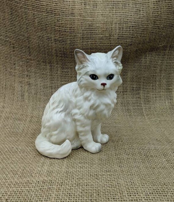 Long Hair Persian Kittens For Sale