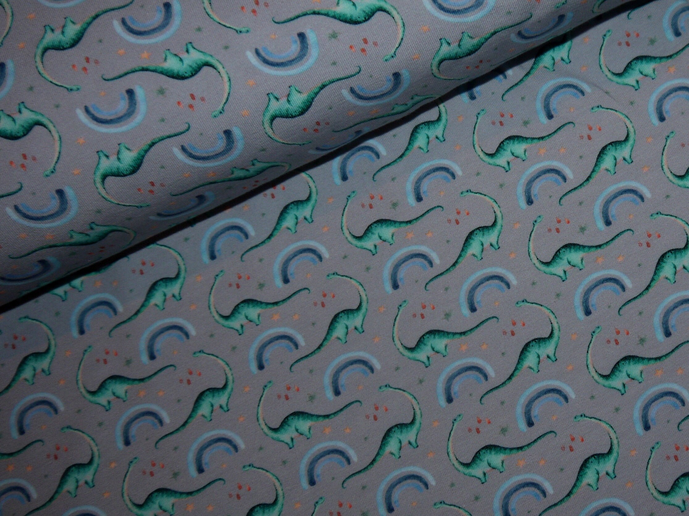 Panel Stoff Jersey Regenbogen Dinosaurier Hoodie Regenbogen