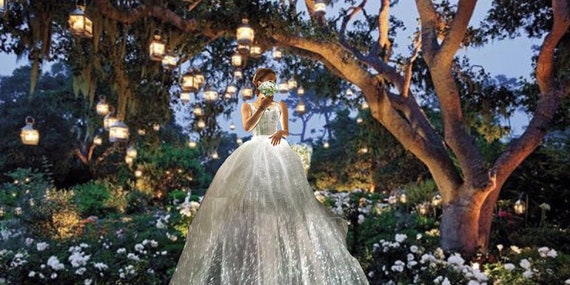 Custom Cinderella Light Up Fiber Optic Wedding Dress Etsy