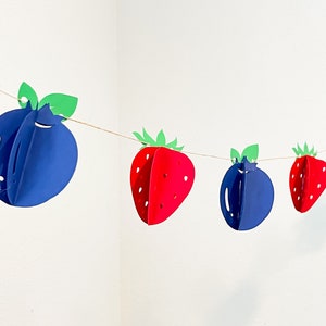 Mixed Berry Blueberry Strawberry Birthday Garland customized 3d Banner Berries 1st 3d girl boy