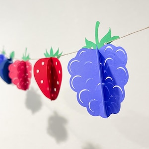 Mixed Berry Blueberry Strawberry Birthday Garland customized 3d Banner Berries 1st 3d girl boy