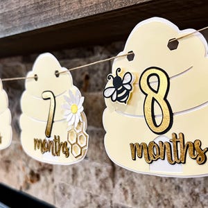 Bee Photo Banner Milestone Honeycomb Year One First 1st Birthday bumble beeday Daisy