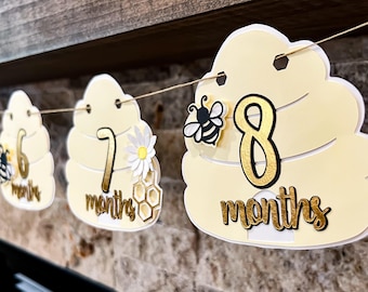Bee Photo Banner Milestone Honeycomb Year One First 1st Birthday bumble beeday Daisy