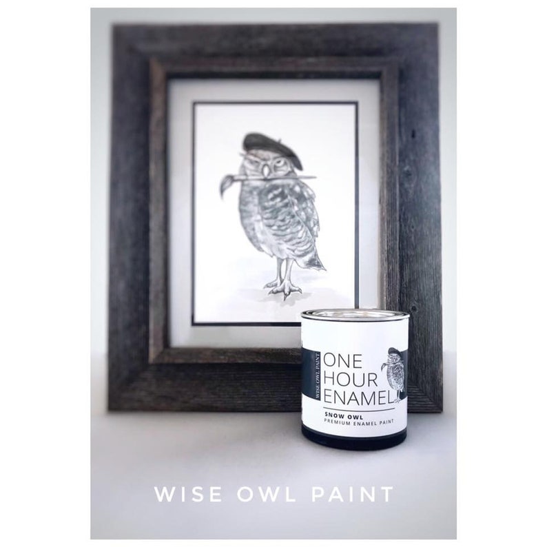 Wise Owl Paint One Hour Enamel ABYSS Quart Furniture Etsy