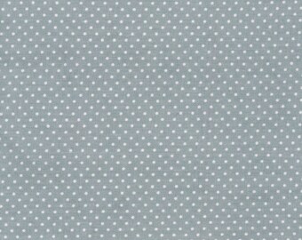 40*x140 beschichtete Baumwolle AU Maison Dots dusty blue (EUR 21,00/m) Pünktchen Wachstuch Oilcloth REST