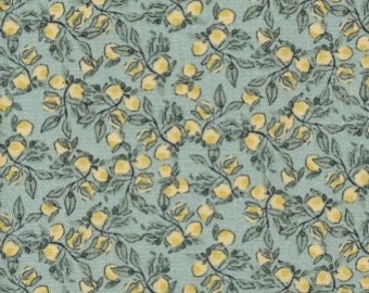 AU Maison beschichtete Baumwolle Lemon dusty green Oilcloth (EUR 21,00/m) Zitronen grün Wachstuch Zitrone Limone