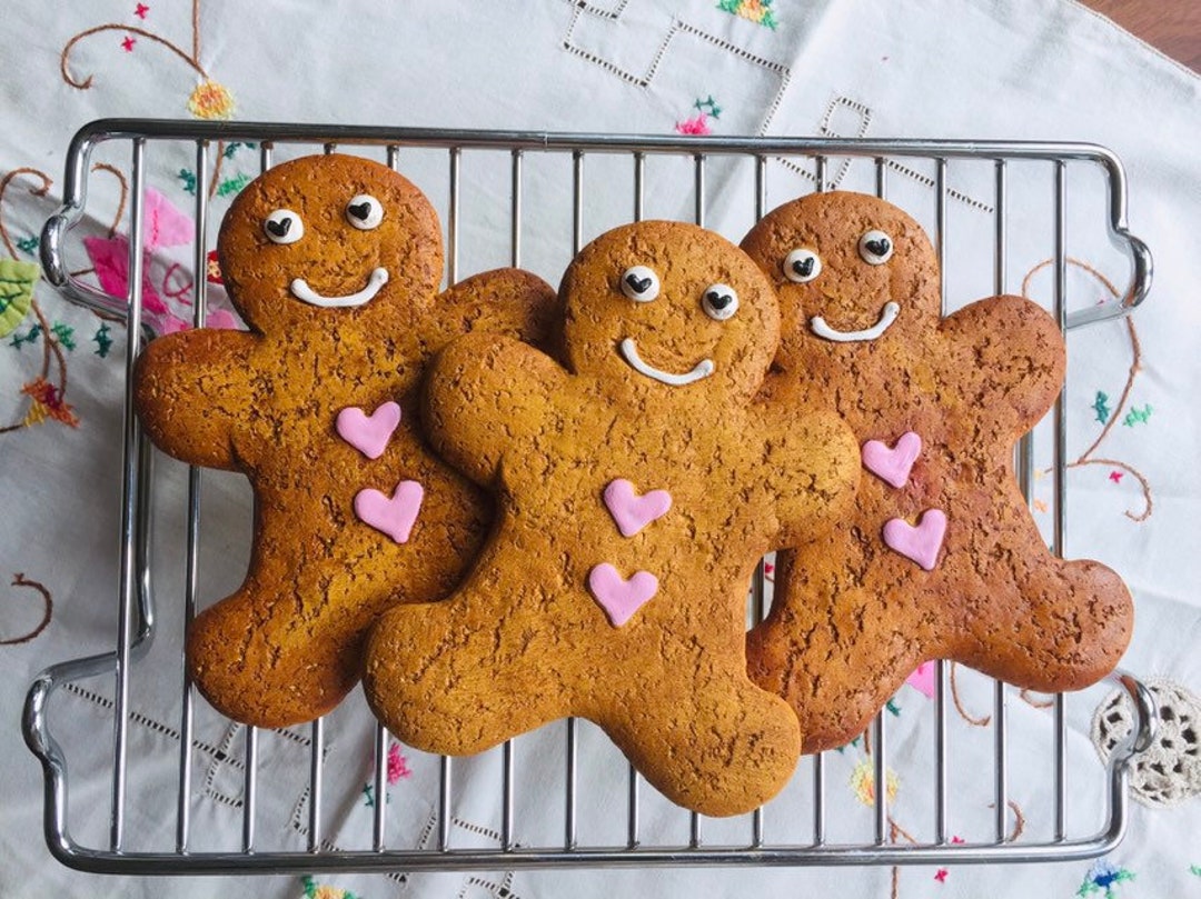 FAKE Gingerbread Biscuits Food Props Replica Cookies - Etsy
