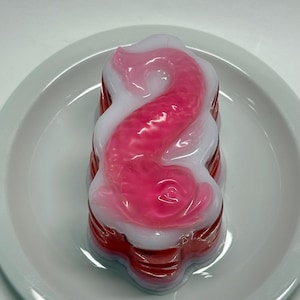 Replica Fish Jelly, Heritage Dish, Fake Food Props for display
