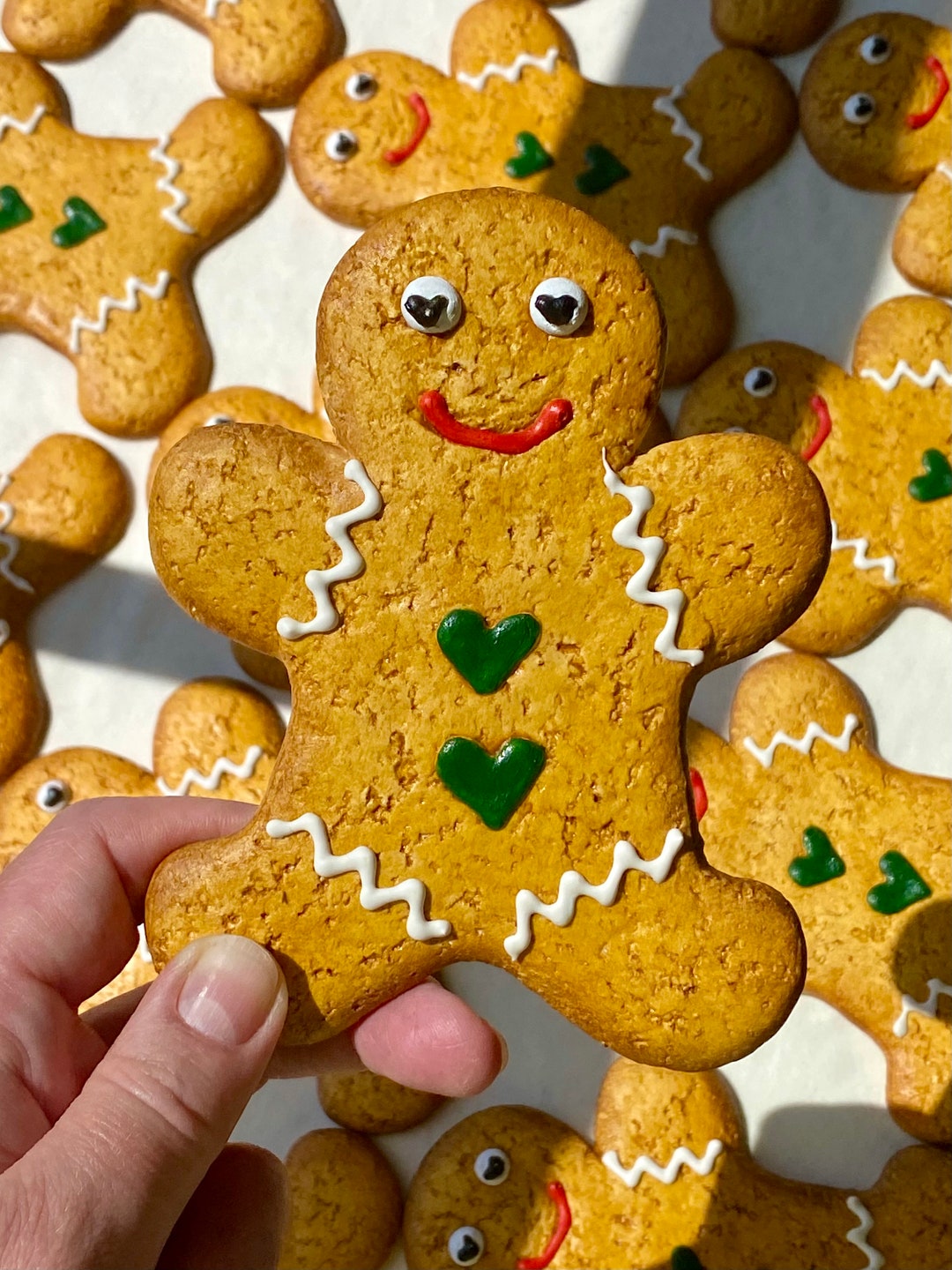 FAKE Gingerbread Biscuits Food Props Replica Cookies - Etsy