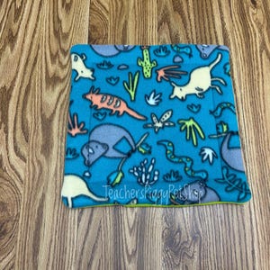 May include: A square pet bed with a teal background and a pattern of cartoon desert animals and plants. The bed has a green border and the text "TeachersPiggyPetShop" is visible.