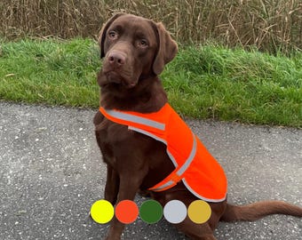 Giubbotto per cani / Giubbotto di sicurezza per cani / Giubbotto riflettente / Giallo, arancione, verde, argento, oro