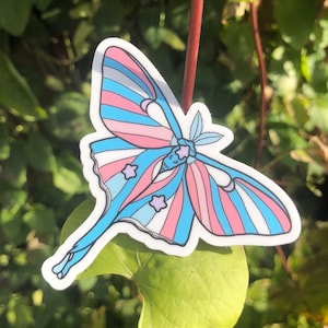 TRANS MOTH STICKER - Subtle Transgender Pride Sticker, Luna Moth, Pastel Pride Flag Queer Bug, Gift for Trans Teen, Waterproof Moth Sticker