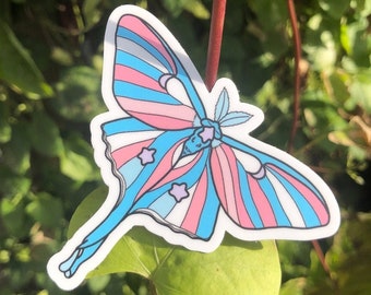 TRANS MOTH STICKER - Vinyl Durable Luna Moth Decal, Pride Colors Bug Art Sticker, Transgender Flag - Spooky Doodle Club