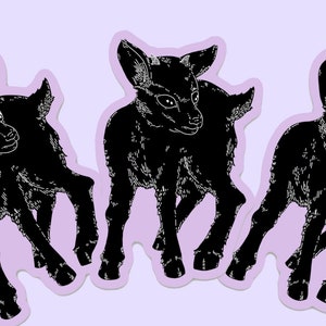 BABY GOAT STICKER - Cute Animal Stickers, Black Gothic Stickers, Witch Stationery, Spooky Halloween Art, Black Phillip Horror Gift