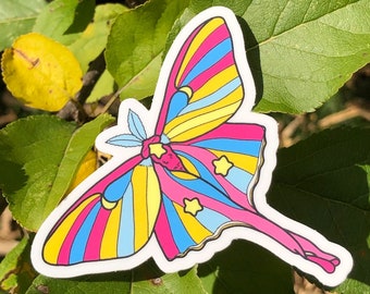 PANSEXUAL MOTH STICKER - Subtle Pan Pride Vinyl Art Sticker, Insect Lover Bug Gift, Witchy Style - Spooky Doodle Club