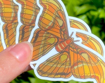 ATLAS MOTH STICKER - Metallic Waterproof Vinyl Art Sticker, Bug Gift for Insect Lover, Moth Stationery - Spooky Doodle Club