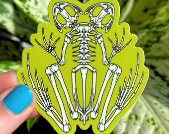 Op de afbeelding: Een gele sticker met een witte omtrek van een skelet van een kikker. De kikker kijkt naar voren met zijn poten uitgestrekt.