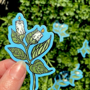 CANDLE PLANT STICKER - Vinyl Kunst Aufkleber - Spooky Doodle Club