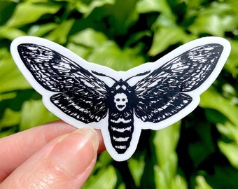 DEATH'S HEAD MOTH Sticker - Black and White, Witchy Vinyl Bug Art, Skull Moth Wing Sticker, Creepy Insect Macabre - Spooky Doodle Club