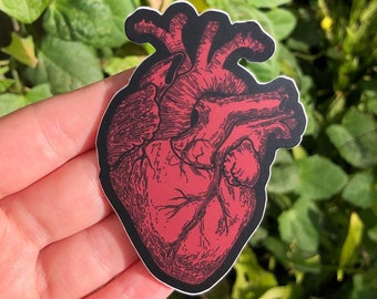 ANATOMICAL HEART STICKER - Vinyl Anatomy Sticker, Vintage Inspired Anatomical Illustration Macabre Heart Sticker, Anatomically Correct Heart