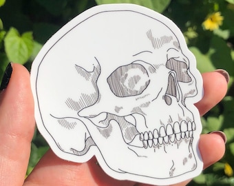 SKULL STICKER - Anatomical Vinyl Sticker, Waterproof Skull Sticker for Water Bottle, Anatomy Sticker for Laptop, 3 Inch Skull Sticker