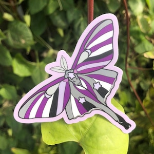 Puede incluir: Una pegatina de polilla morada, blanca y negra con fondo rosa. La polilla tiene un patrón a rayas y estrellas blancas en sus alas.
