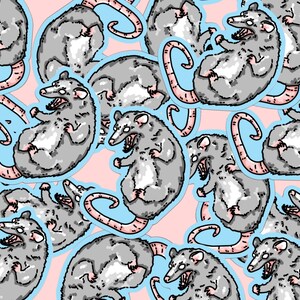May include: A repeating pattern of gray opossums with white markings on a light pink background. The opossums are drawn in a cartoon style with exaggerated features and are shown in various poses. The opossums have large, toothy grins and are shown with their tails curled up.