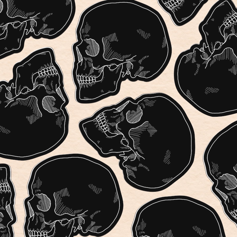May include: A pattern of black and white skull illustrations. The skulls are drawn in a detailed, anatomical style with visible teeth and bone structure. The skulls are arranged in a repeating pattern, creating a graphic and slightly spooky design.