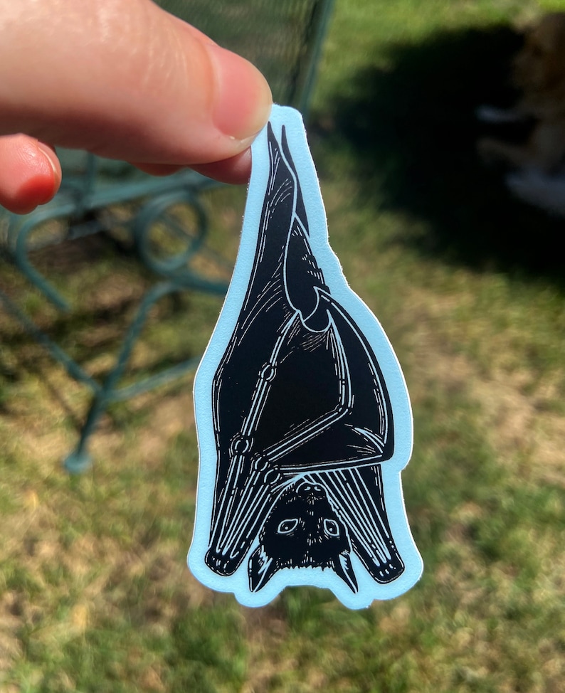 May include: Black and white illustration of a bat hanging upside down. The bat is drawn in a detailed, vintage style.