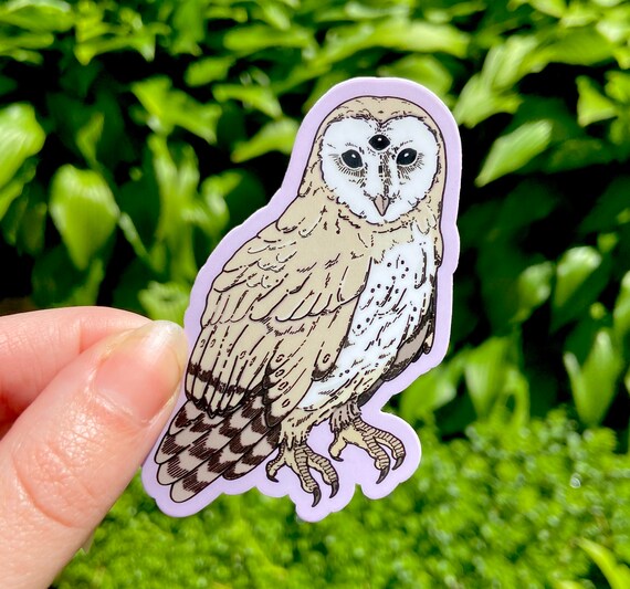 カラフルなフクロウ colorful-owl-zentangle-art-