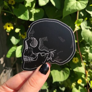 May include: A black skull sticker with white line art detailing. The sticker is shaped like a skull and is being held in a hand.