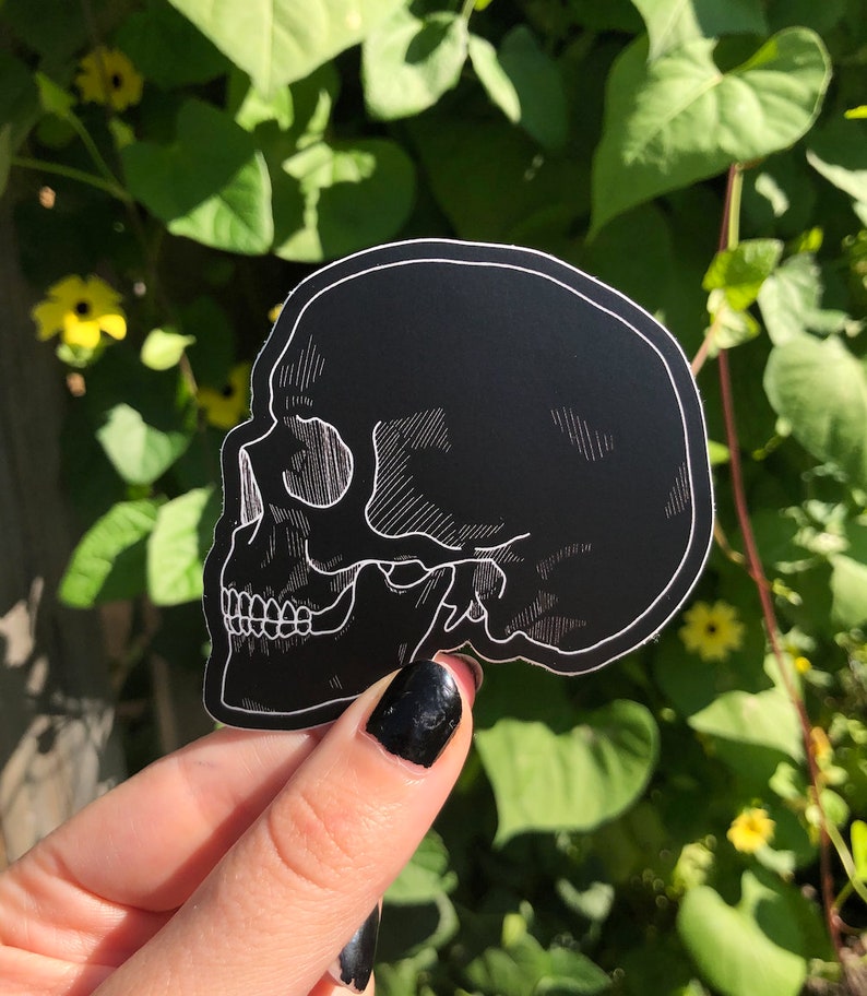 May include: A black skull sticker with white line art detailing. The sticker is shaped like a skull and is being held in a hand.