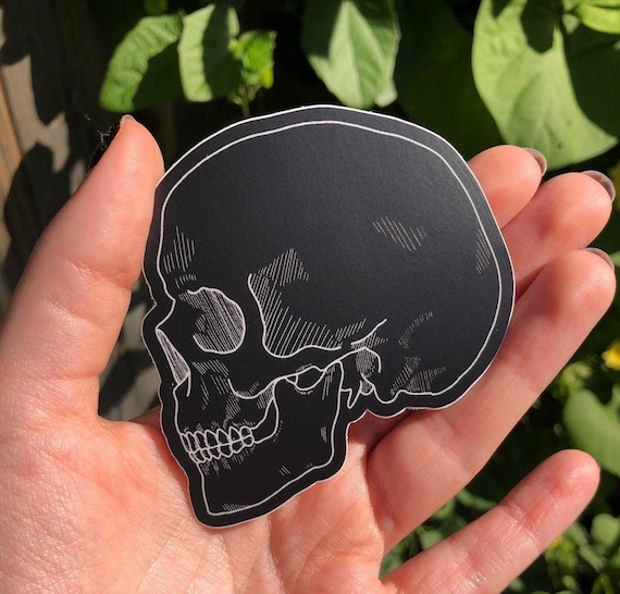 BLACK SKULL STICKER - Vinyl Horror Sticker, Gothic Skull Anatomical Sticker, Macabre Medical Illustration, Spooky Water Bottle Stickers